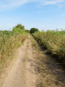 The ancient way